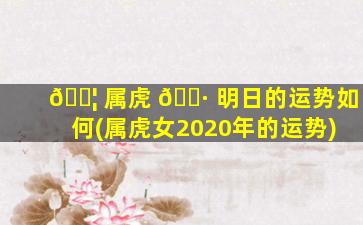 🐦 属虎 🕷 明日的运势如何(属虎女2020年的运势)
